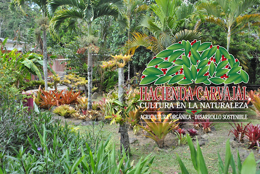 Hacienda Carvajal Gallery - United States