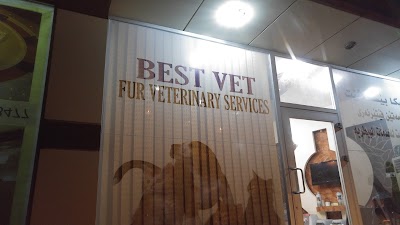 Photos of Best Vet Clinic