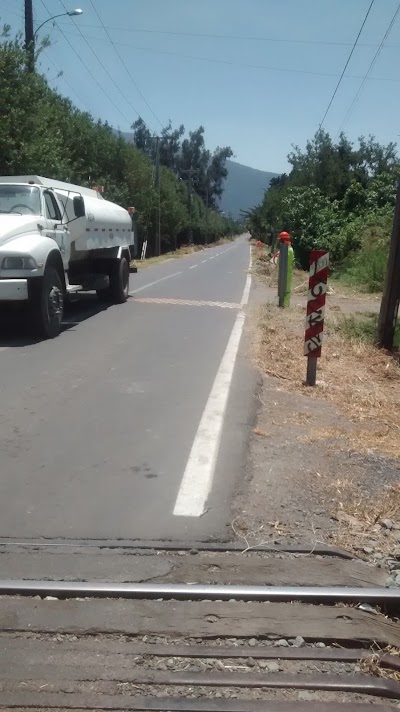 Photos of COLTIVARE