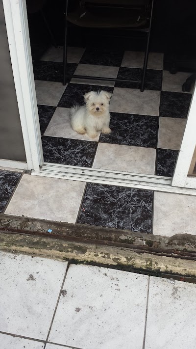 Photos of VETERINARIA ARDOCAN 24 Horas DR. ARTURO MOREIRA
