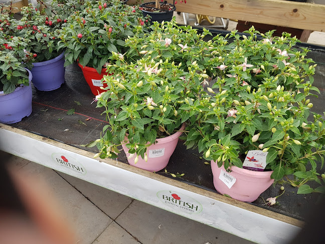 britishgardencentres.com