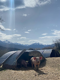 Photo n°40 de Le cochon du Madres, Restaurant, Chambres d'hôtes, Boutique producteurs à Escouloubre (Magasin)