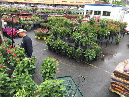 Stone Brook Garden Center & Landscape Supply - Thumbnail