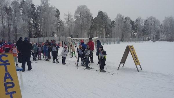 Стадион рекорд