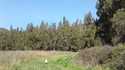 Photos of Complejo Recreacional S.A.G.