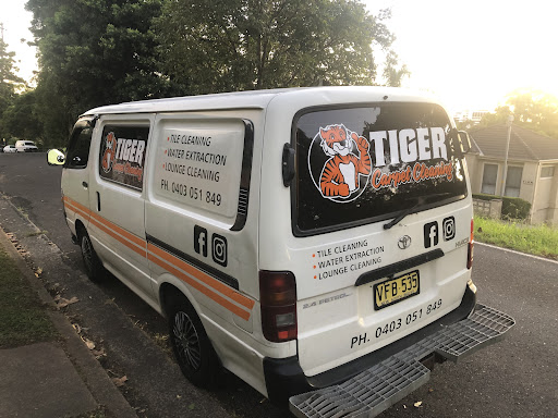 Tiger Carpet Cleaning