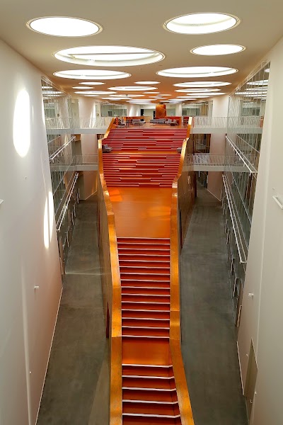 university