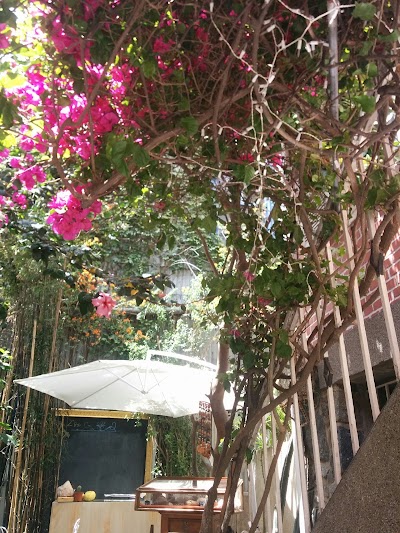 Photos of Patio Higuera