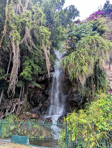 Townsville Strand Waterfall - Thumbnail