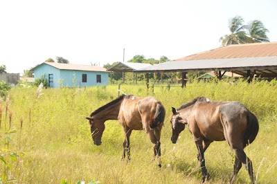 Photos of Lethem Baptist Church