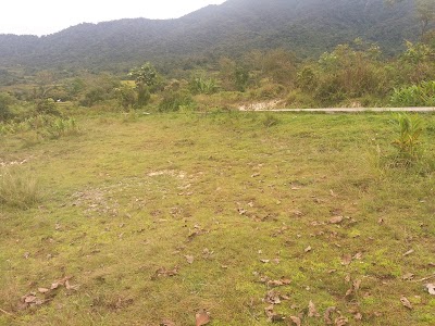Photos of Horas Naibaho