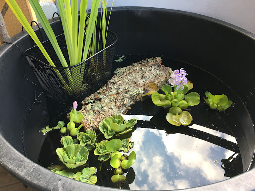 Azienda Natura Viva Padova Di Sposito Manuela - Thumbnail