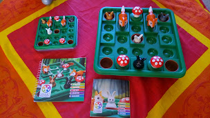 Photo n°17 de Massages Mieux-être par les Sons et Vibrations , jeux de réflexion SmartGames à Étampes-sur-Marne (Praticien de médecine alternative)