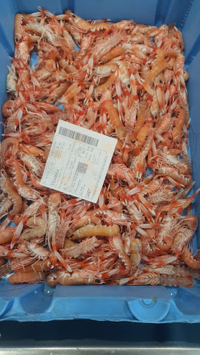 Peixateria Montse Gallery - Spain