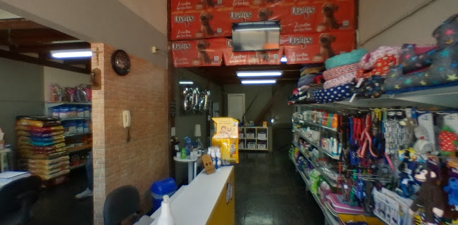 petpampulha.com.br