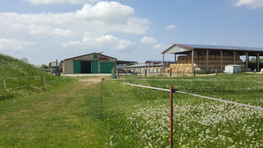 Reitverein Kleinliebenau e.V. Schrägweg, 04435 Schkeuditz, Deutschland