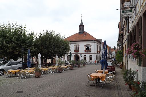 Stadtbücherei Zwingenberg - Thumbnail