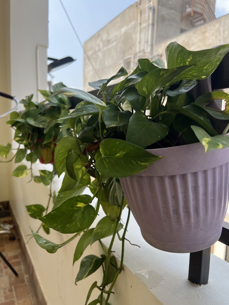 Bhumi Yoga Class Fitness Studio Only For Females