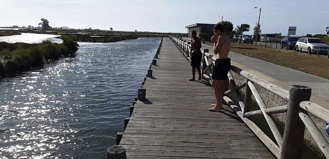 Avaliações doCais da Ribeira de Esgueira em Aveiro - Loja de bicicleta