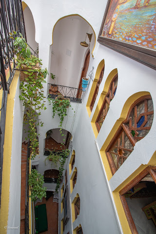 Hôtel Dar Mounir by null