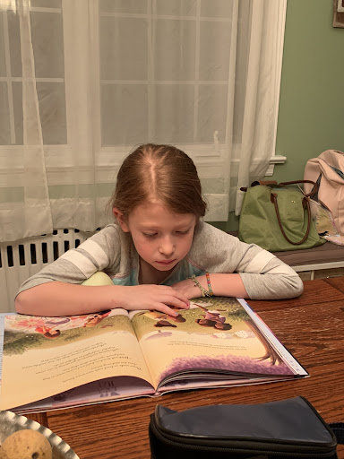 Education Specialists of New Jersey - Thumbnail