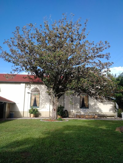 Masjid Al Tazkiah