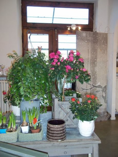 Katia Fiori di Peretto Liviana - Thumbnail