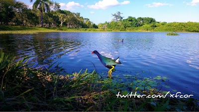 Photos of Laguna de Campo Ecological Park