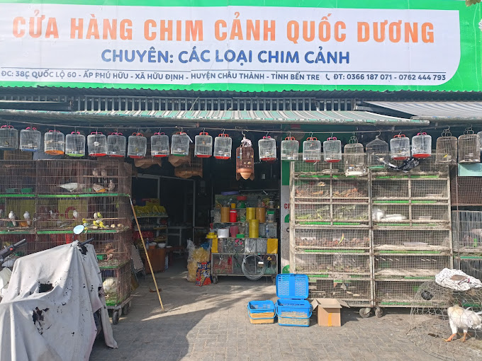 Tiệm Chim Cảnh Quốc Dương, Hữu Định, Châu Thành, Bến Tre