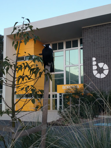 Boronia K-12 College, Mount View Campus