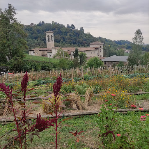 Botanic Garden Of Bergamo, Astino Section - Thumbnail