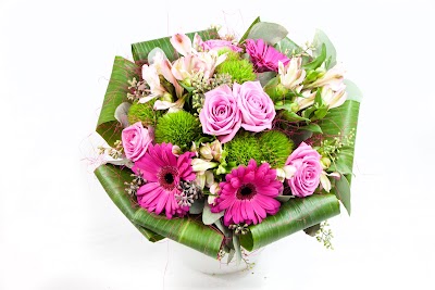 Photos of Flower24