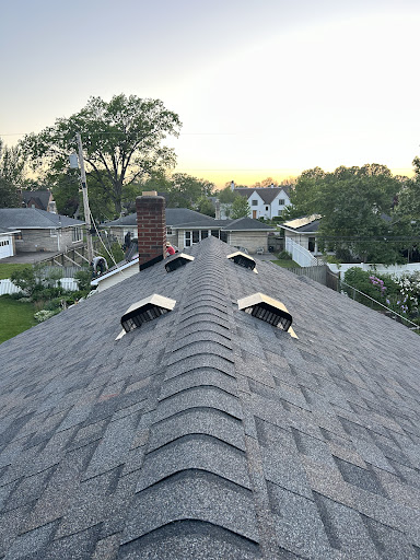 Rooted Repairs - Visual