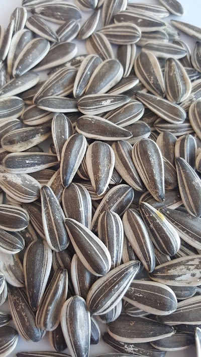 Photos of Elbistan Polatlar