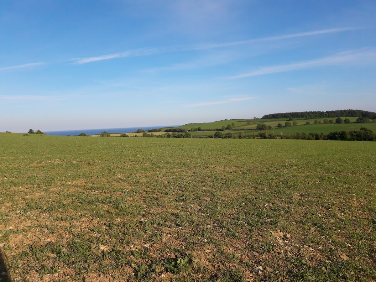 Stantyway Farm