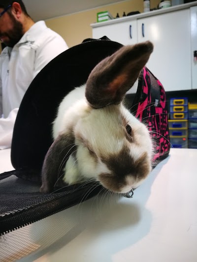 Photos of Veterinary Clinic Avansavet
