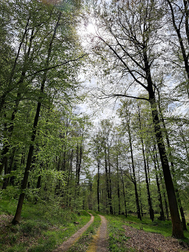 Kasseler Meeressand - Thumbnail