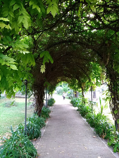 Giardini Monet - Visual