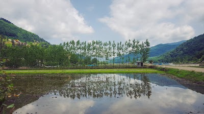 Photos of Vilakadeh