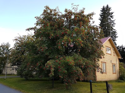 Photos of &Auml;ht&auml;ri Graveyard