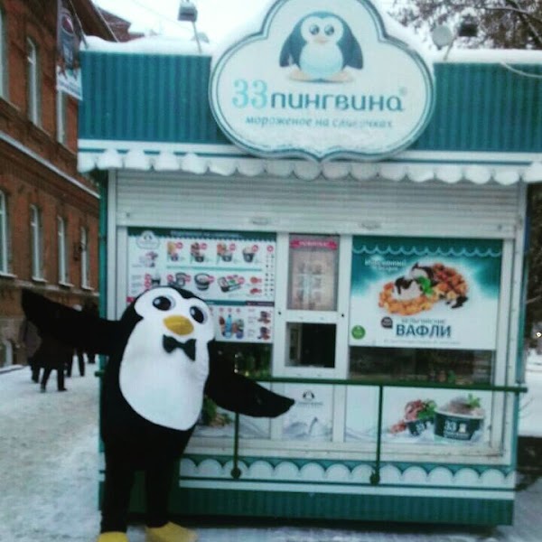 Ярославль кафе пингвин