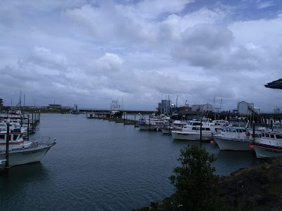 Westport Aquarium