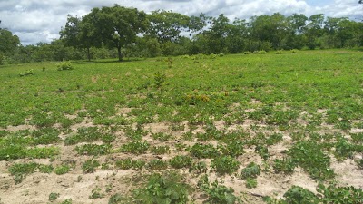 Photos of Ariane
