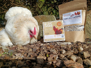 Photo n°2 de Invers à Saint-Ignat (Siège social)