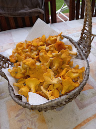 Photo n°6 de Chez Marie et Eric à Dieffenbach-au-Val (Chambre d'hôtes)