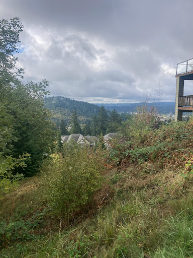 Happy Valley Stairs - Top of Stairs