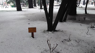 Photos of San Martin Plaza