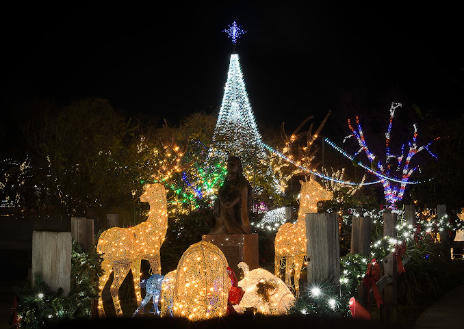 Sights and Sounds of Christmas by null