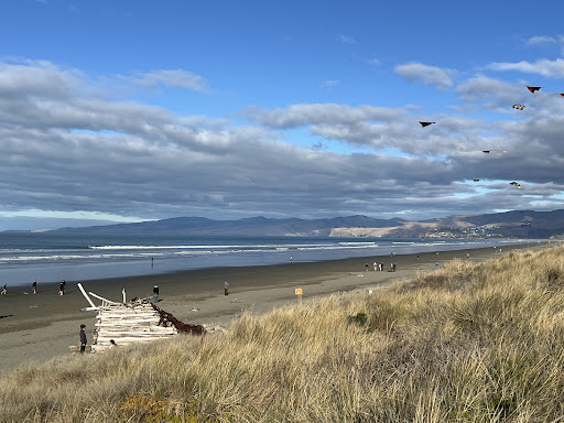 Driftwood hut - Thumbnail