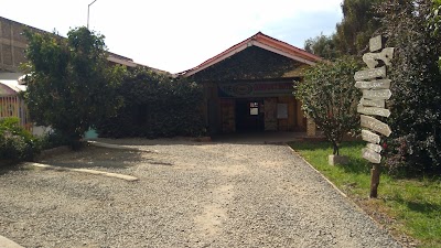 Photos of Family Comfort Hotel